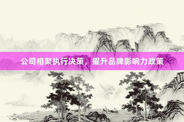 公司相聚执行决策，擢升品牌影响力政策
